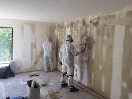 Best Mold Removal for HVAC Installations  in Arcadia, SC